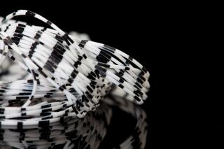 White with Black Bars  