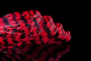 Red with Black Bars 