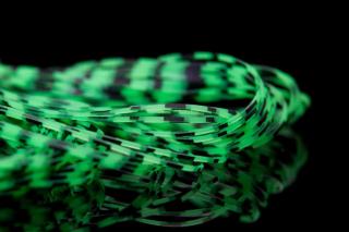 Chartreuse with Black Bars 