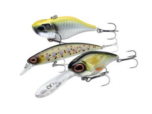 Berkley DEX Gift Box lahjapakkaus