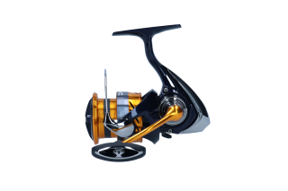 Daiwa 23 Revros LT 4000-C