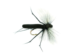 Aero Hawthorne (1065)