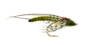 Hatching SP Olive (343)