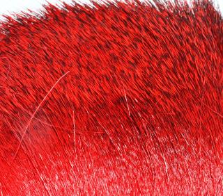 Värjätty peurankarva, Red