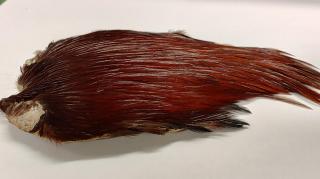 Fly & Fish Kukonniska väri Brown