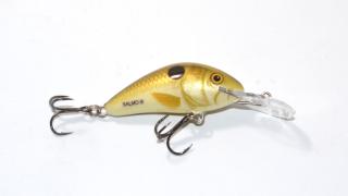Salmo Hornet 4S väri PLS