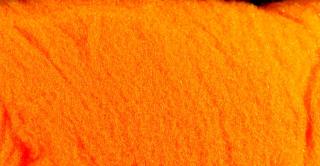 Steelhead Orange
